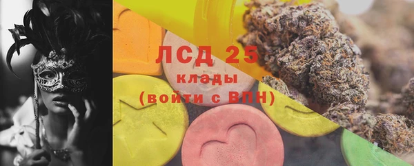 индика Балабаново
