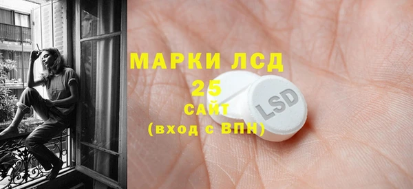 индика Балабаново