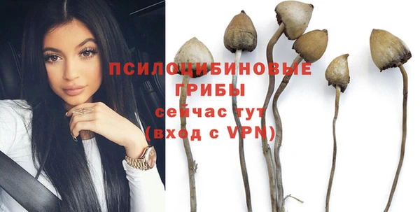 индика Балабаново