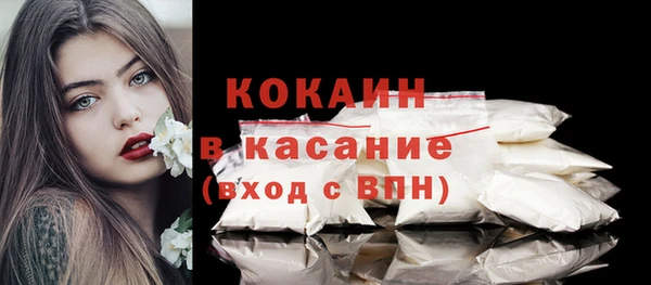 индика Балабаново