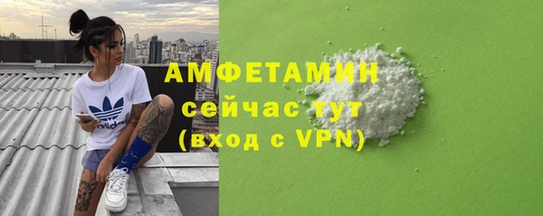 индика Балабаново