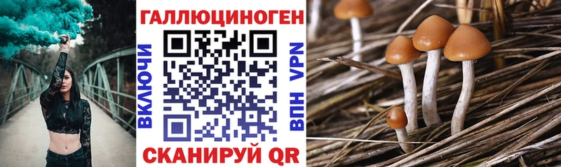 Купить  Сертолово  Галлюциногенные грибы прущие грибы 